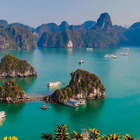 Viet Hoang Hotel ハロン エクステリア 写真